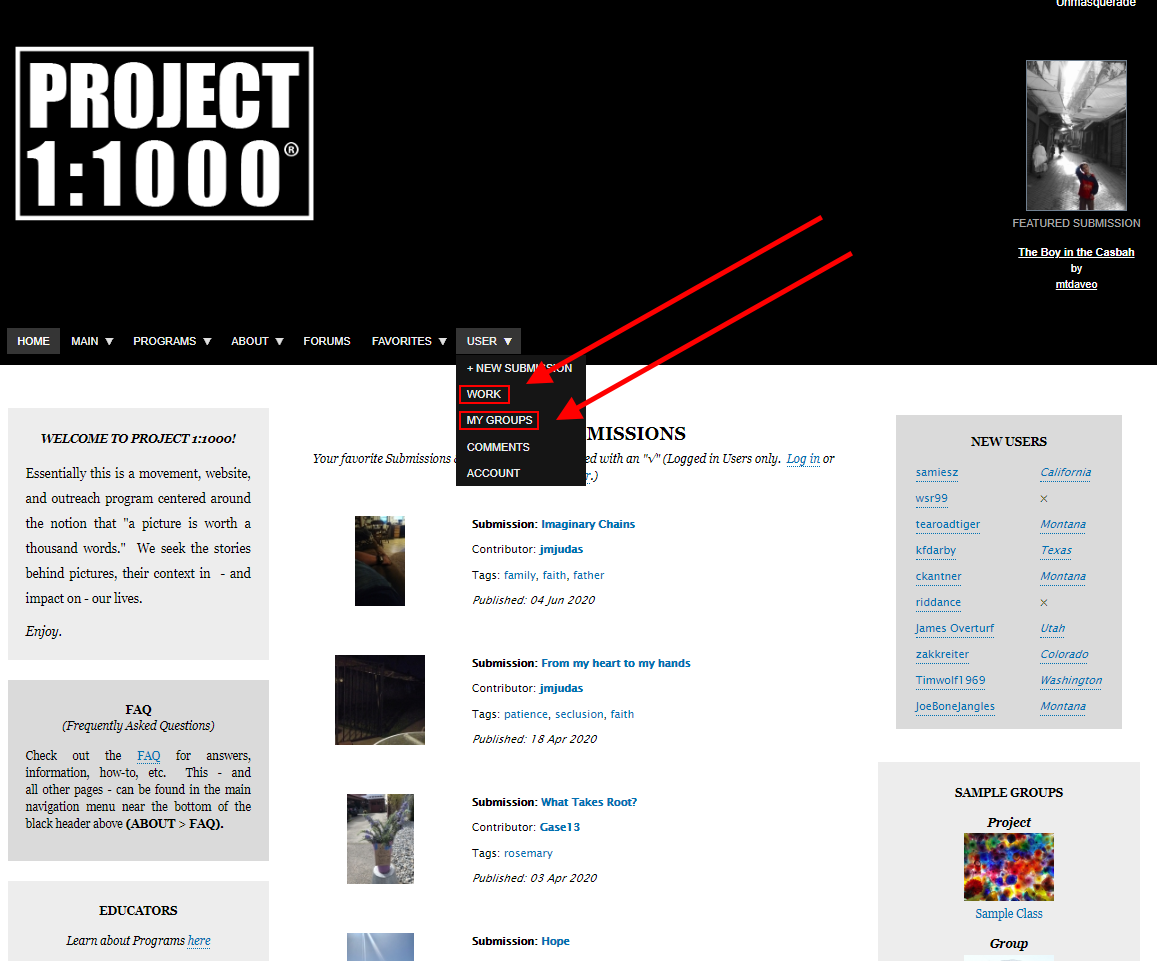 Group Administrator + Contributor menu