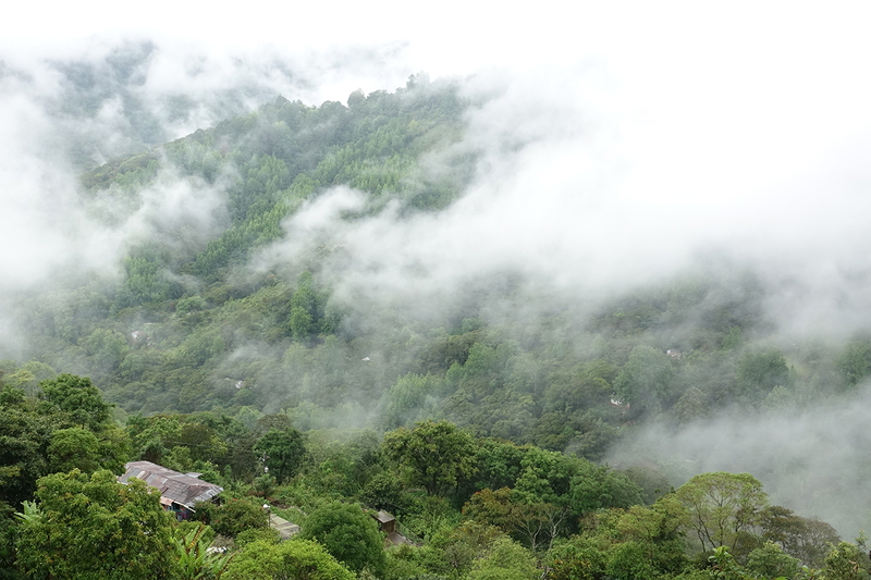 Parque Nacional La Tigra, Honduras